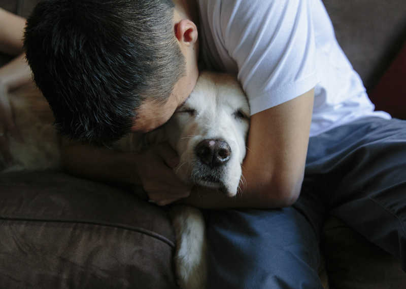 Photo of a person holding face against and embracing dog in a shadow. Image has a melancholy feeling.